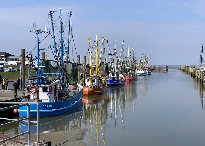 Dorumer Sielhuus 19 Mit Dachterrasse Und Sauna *